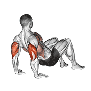 Triceps Dips Floor demonstration animation