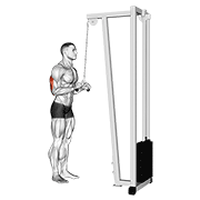 Triceps Pushdown demonstration animation