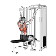 Twin Handle Parallel Grip Lat Pulldown demonstration animation