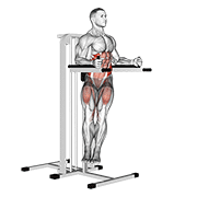 Twisted Leg Raise demonstration animation