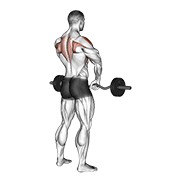 Upright Row demonstration animation