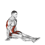 V Sit demonstration animation