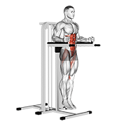 Vertical Leg Raise On Parallel Bars demonstration animation