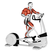 Walk Elliptical Cross Trainer demonstration animation