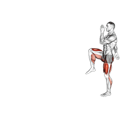 Walking High Knees Lunge demonstration animation