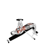 Weighted Decline Sit Up demonstration animation