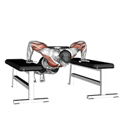 Weighted Drop Push Up demonstration animation