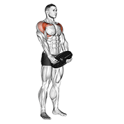 Weighted Front Raise demonstration animation