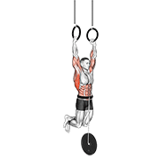 Weighted Muscle Up demonstration animation