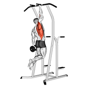 Weighted One Hand Pull Up demonstration animation