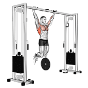 Weighted Pullup demonstration animation