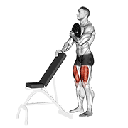 Weighted Sissy Squat demonstration animation