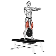 Weighted Squat demonstration animation