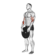 Weighted Standing Curl demonstration animation