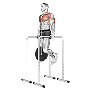 Weighted Triceps Dip On High Parallel Bars demonstration animation