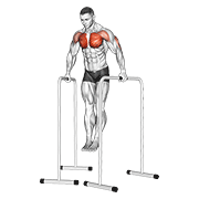 Wide Grip Chest Dip On High Parallel Bars demonstration animation