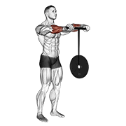 Wrist Rollerer demonstration animation