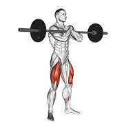Zercher Squat demonstration animation
